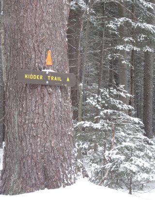 Trail Head